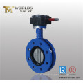 U-Section Flanged End Butterfly Valve